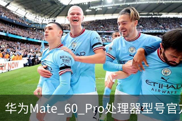 华为Mate 60 Pro处理器型号官方首次“揭秘”，搭载麒麟9000S与30、40、50、90“同台竞技”